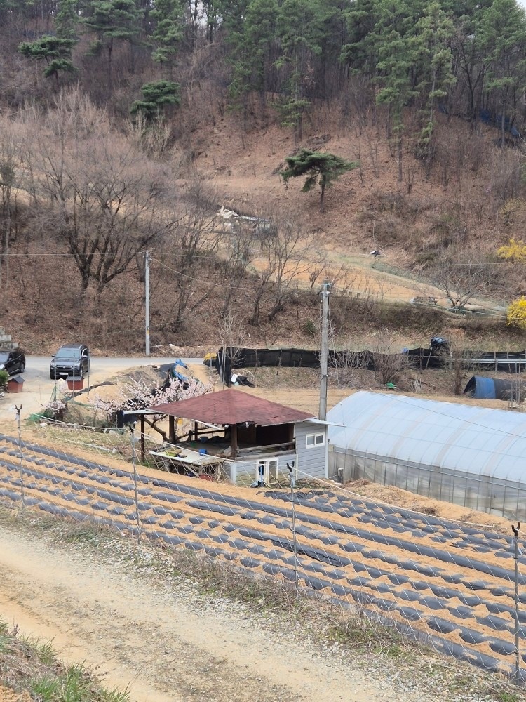 주말농장 picture 0