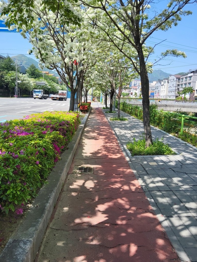 승리공부방 picture 9