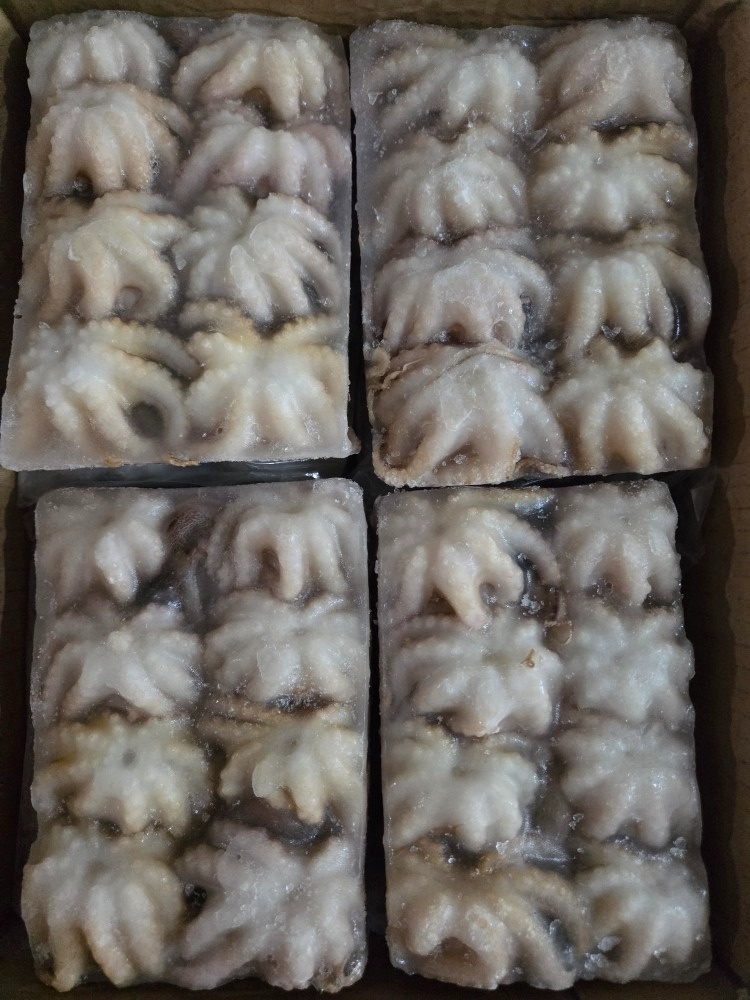 일광수산 picture 2