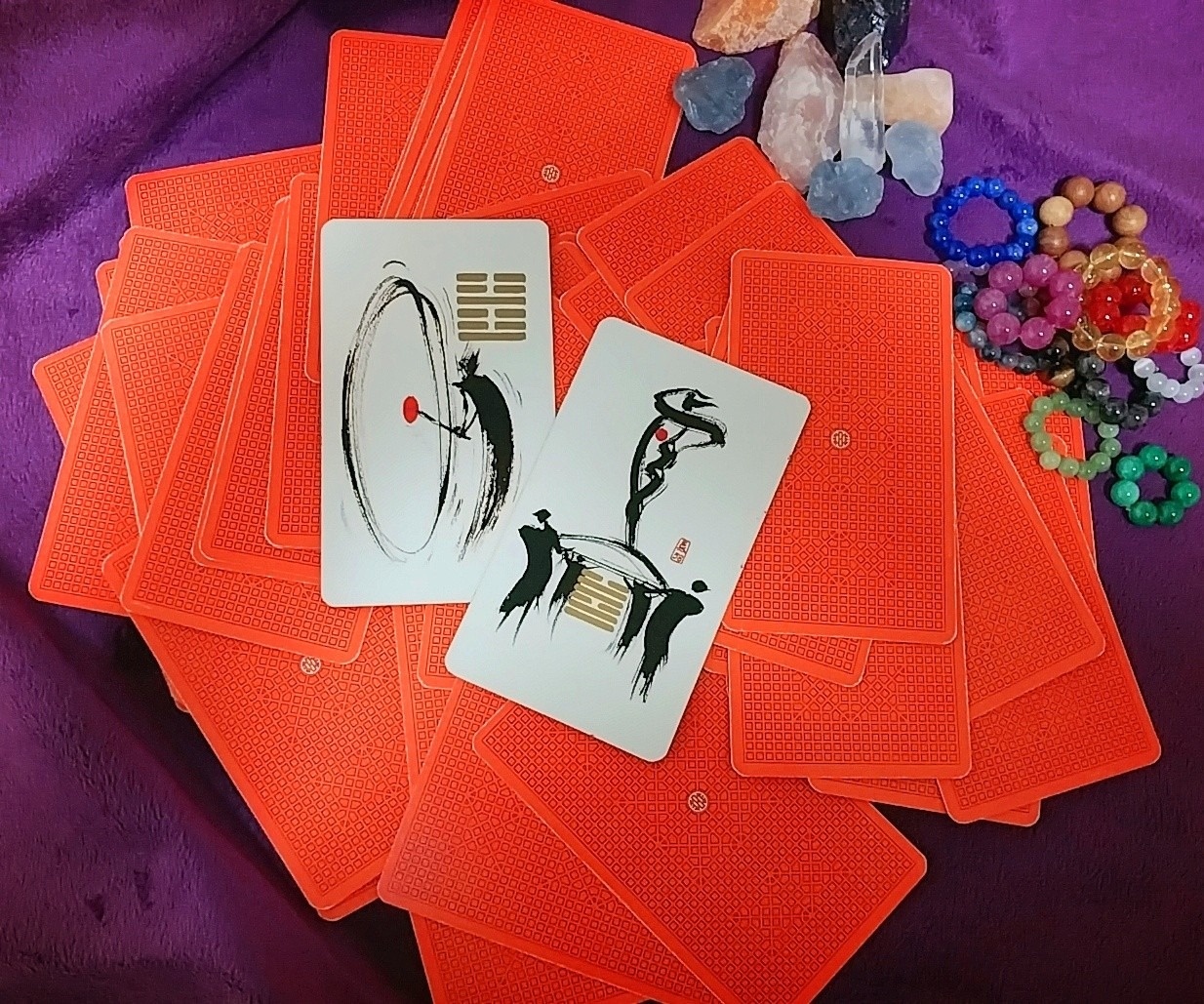 봉순타로 picture 0