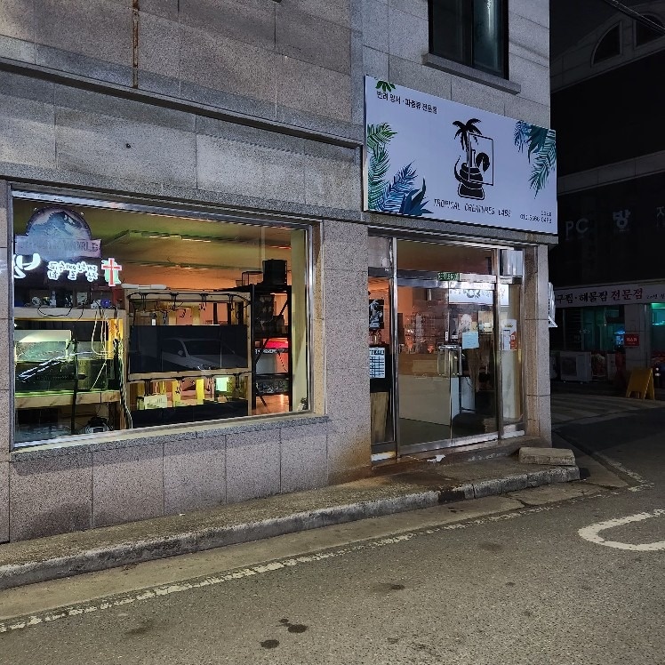 천안 파충류샵 티랩스 picture 1