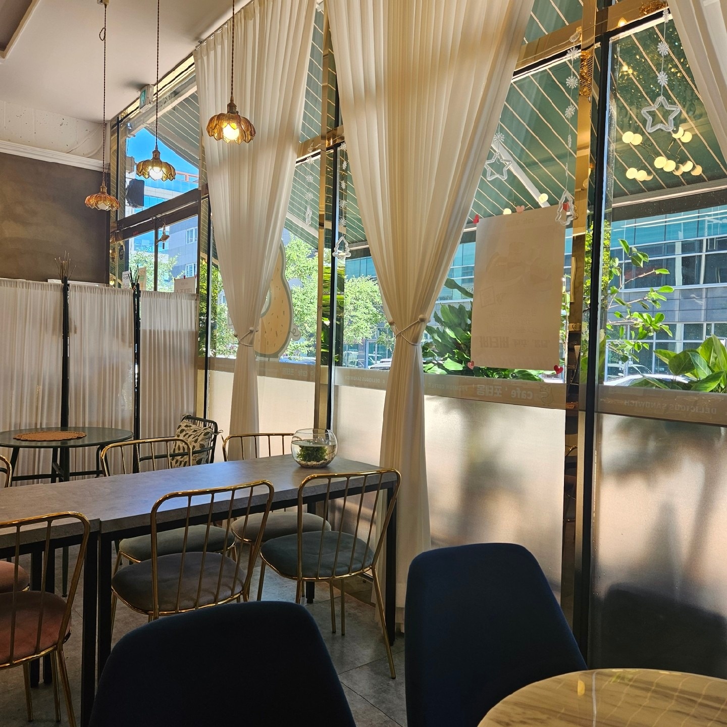 포테몽 picture 1