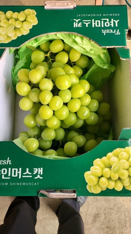 한산스토어 picture 8