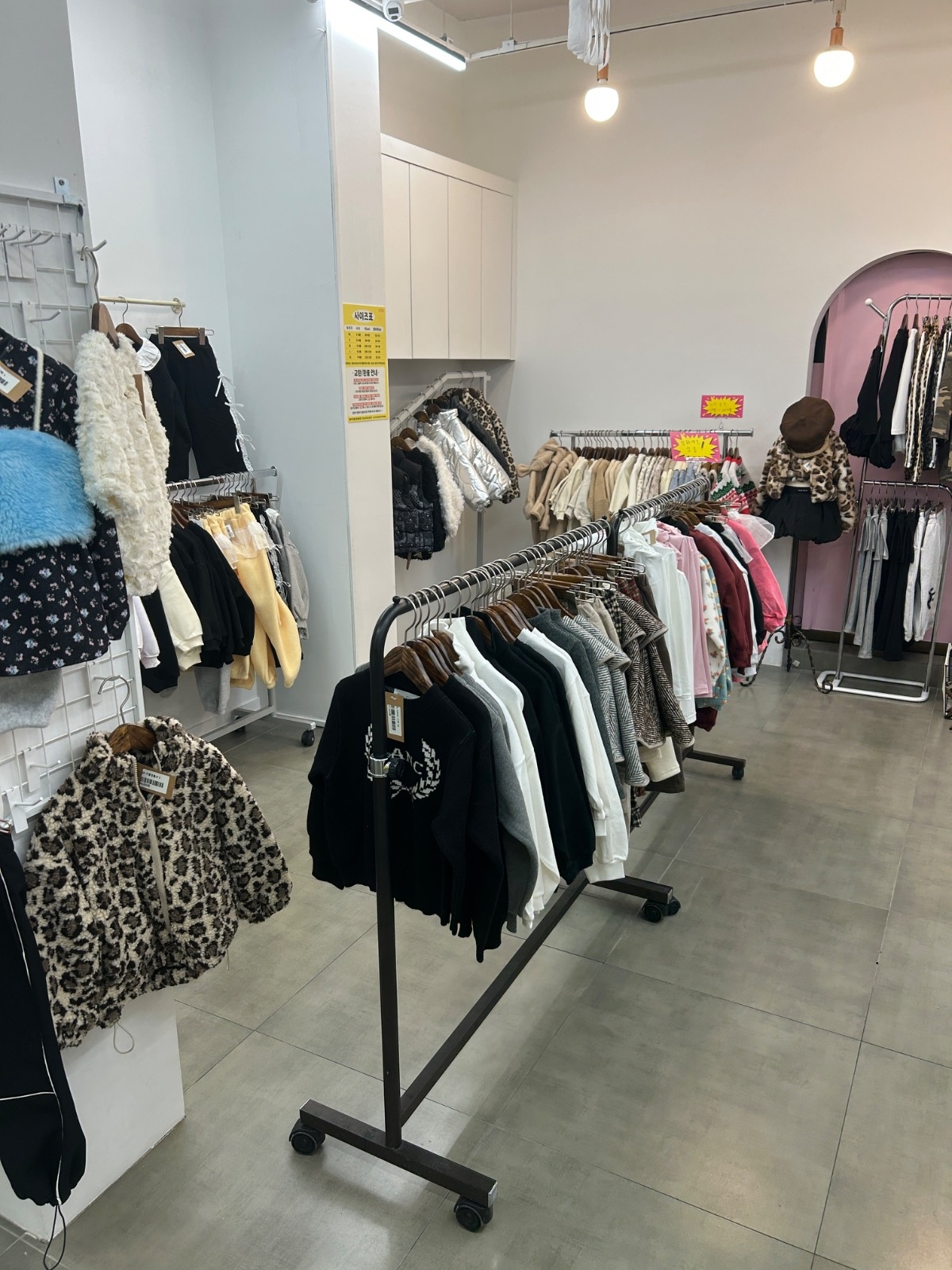 락앤롤베이비 picture 9