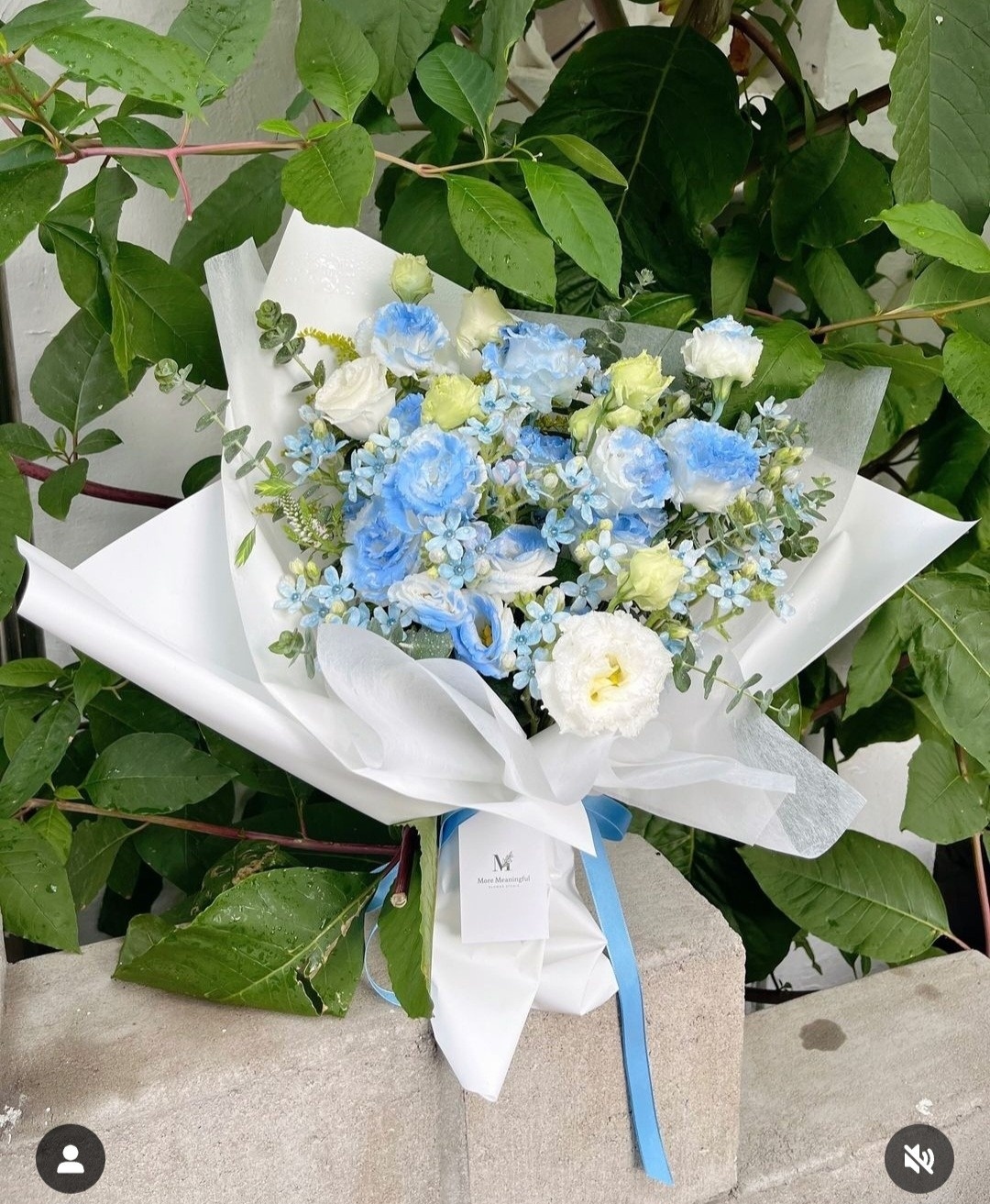 모어미닝풀 플라워 picture 8