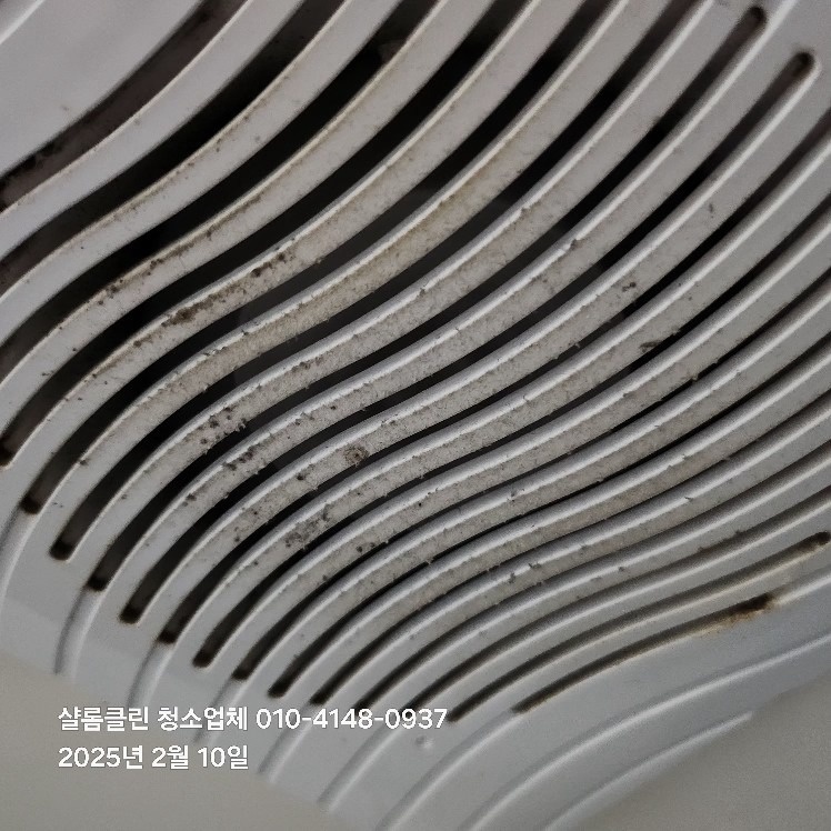 샬롬클린 picture 7