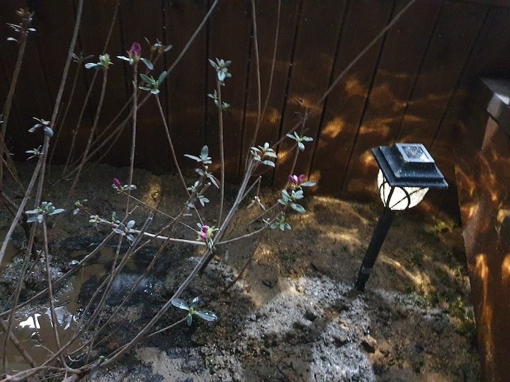 구리상회 picture 0