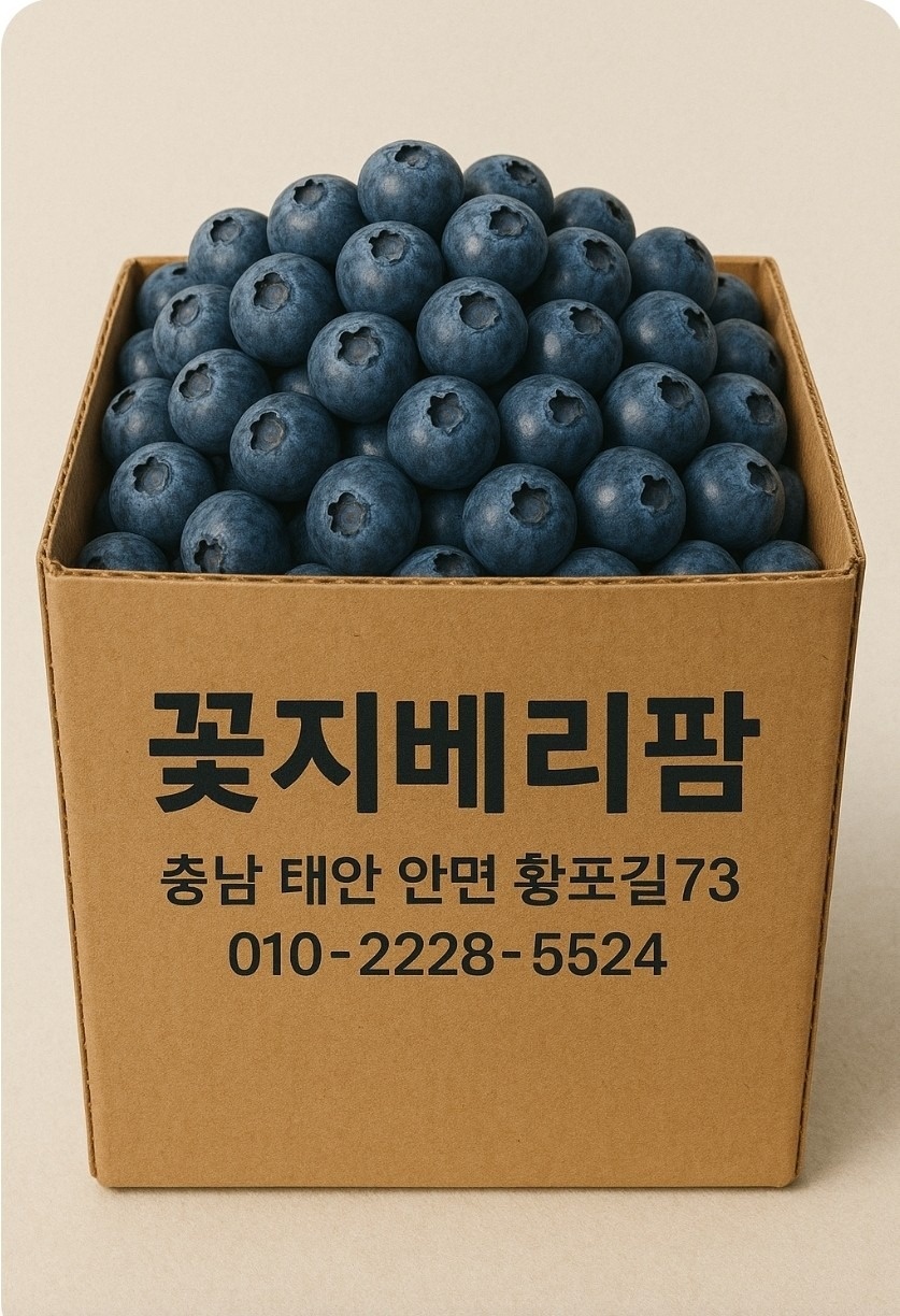 꽃지블루베리팜 picture 7