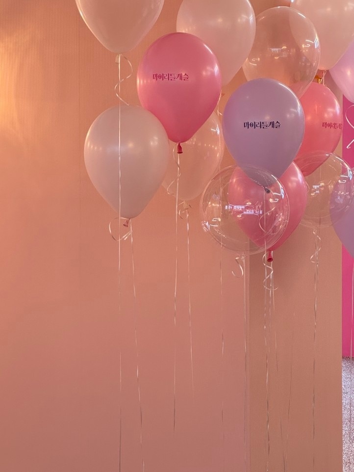 마이리틀캐슬 picture 8