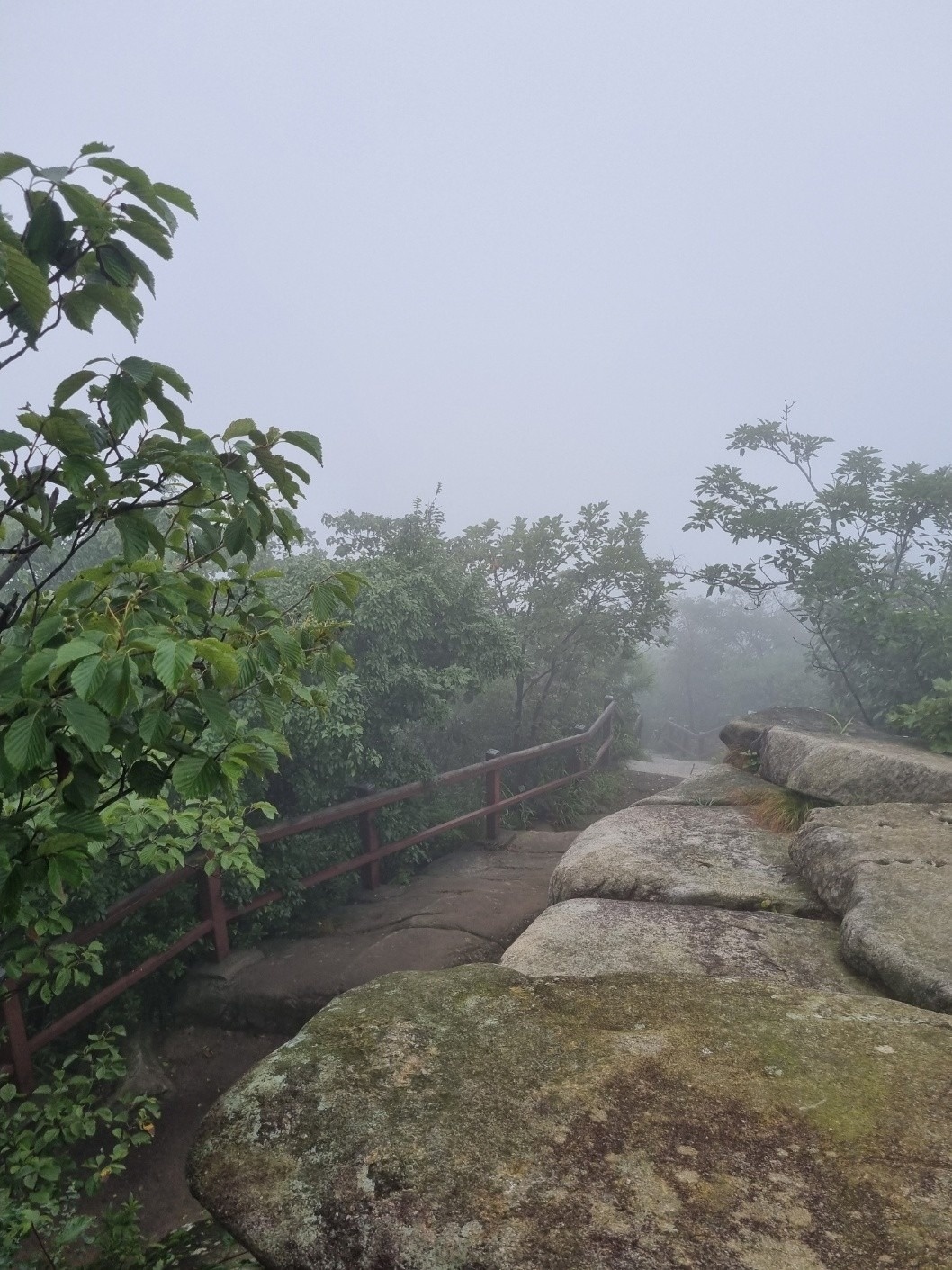 당근점집 picture 5