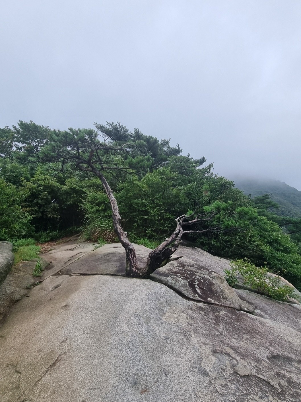 당근점집 picture 7