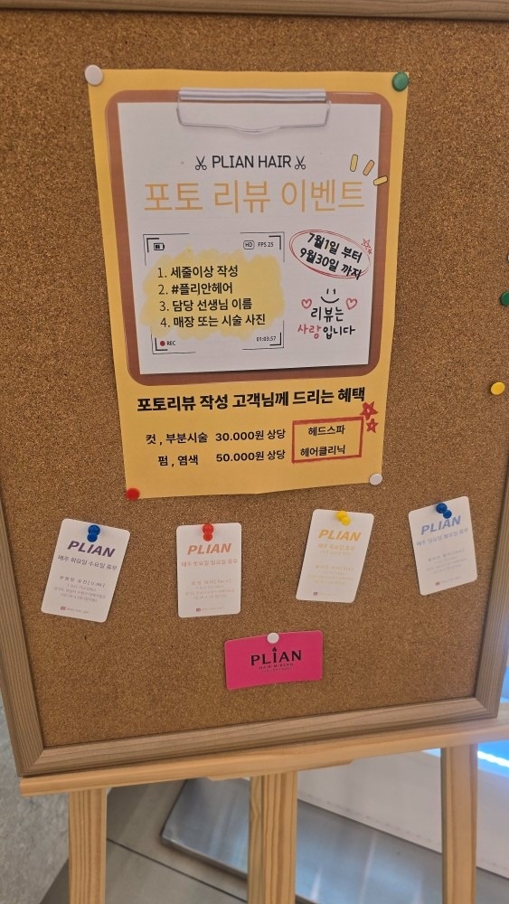 엘리 플리안 picture 7