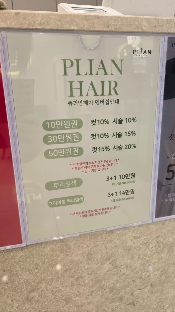 엘리 플리안 picture 5