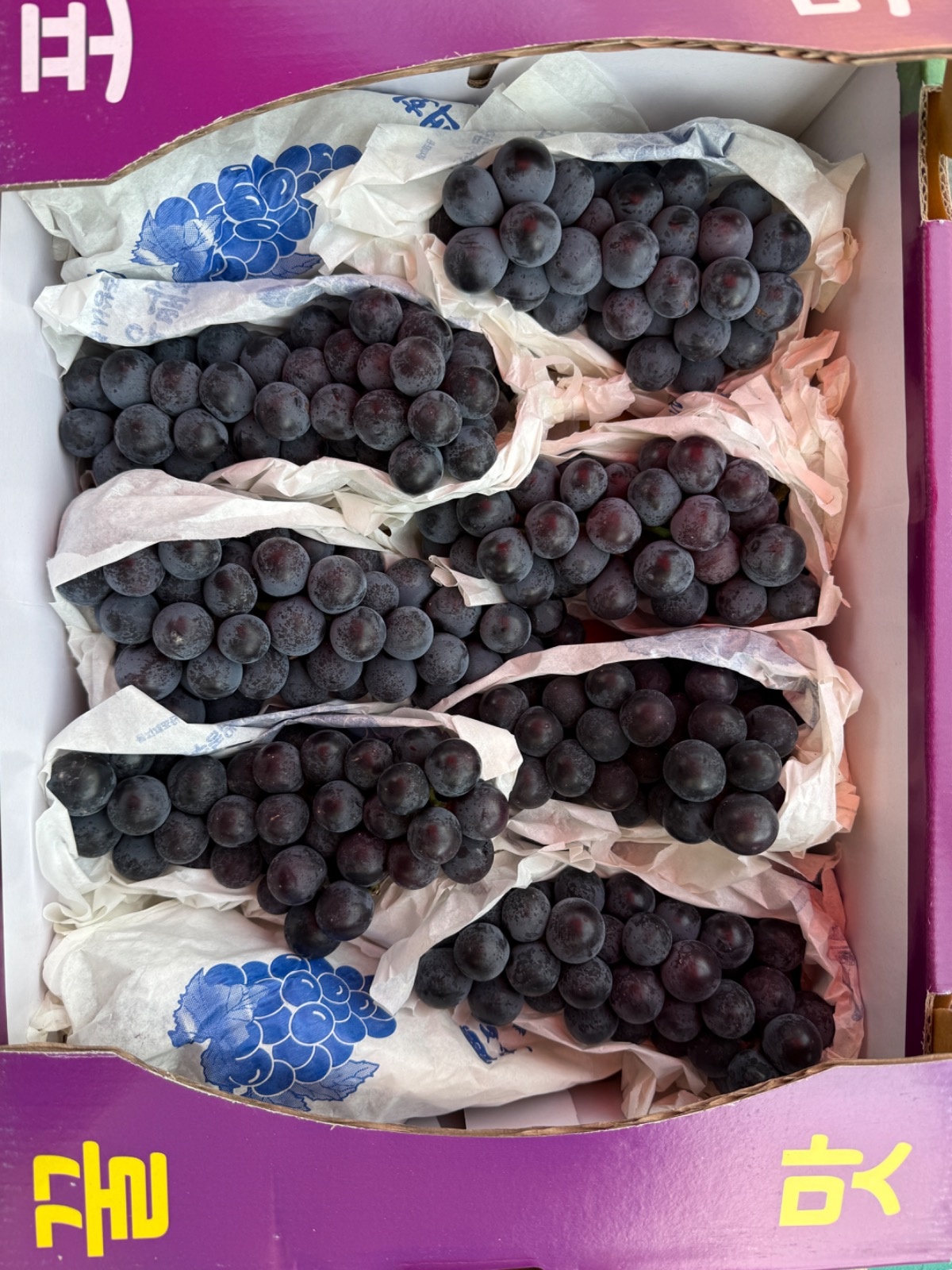 프룻정 picture 3
