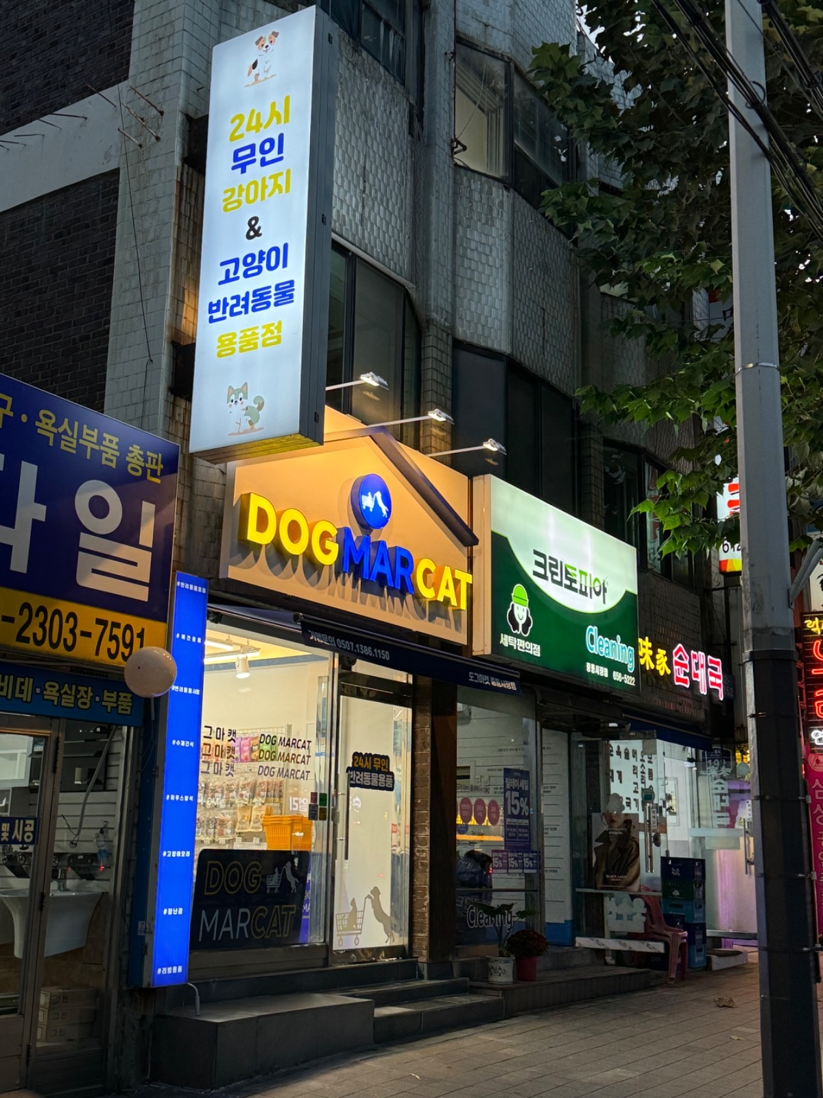 도그마캣 부천중동시장점 picture 8