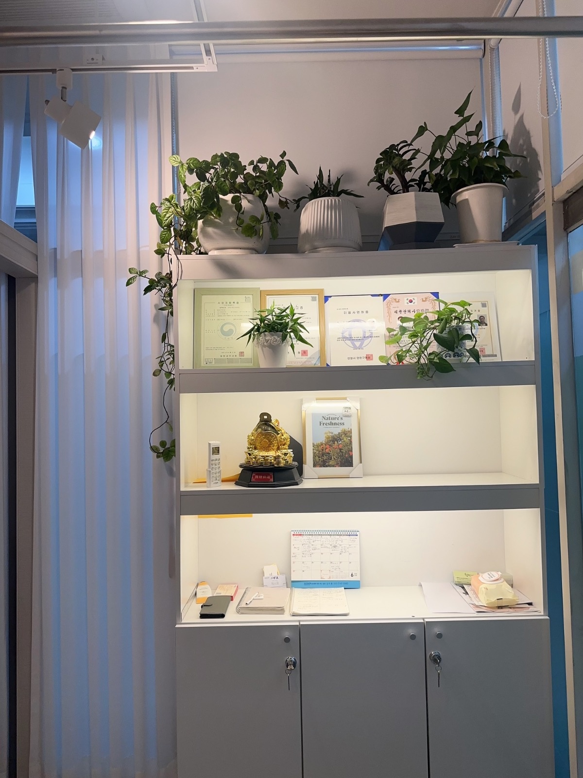 힐링피부관리실 picture 7