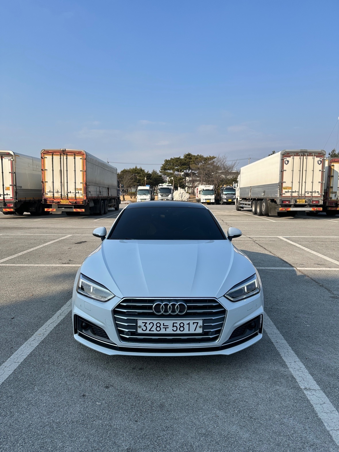 A5 8W 45 TFSI Sportback 콰트로 (252마력) 매물 썸네일