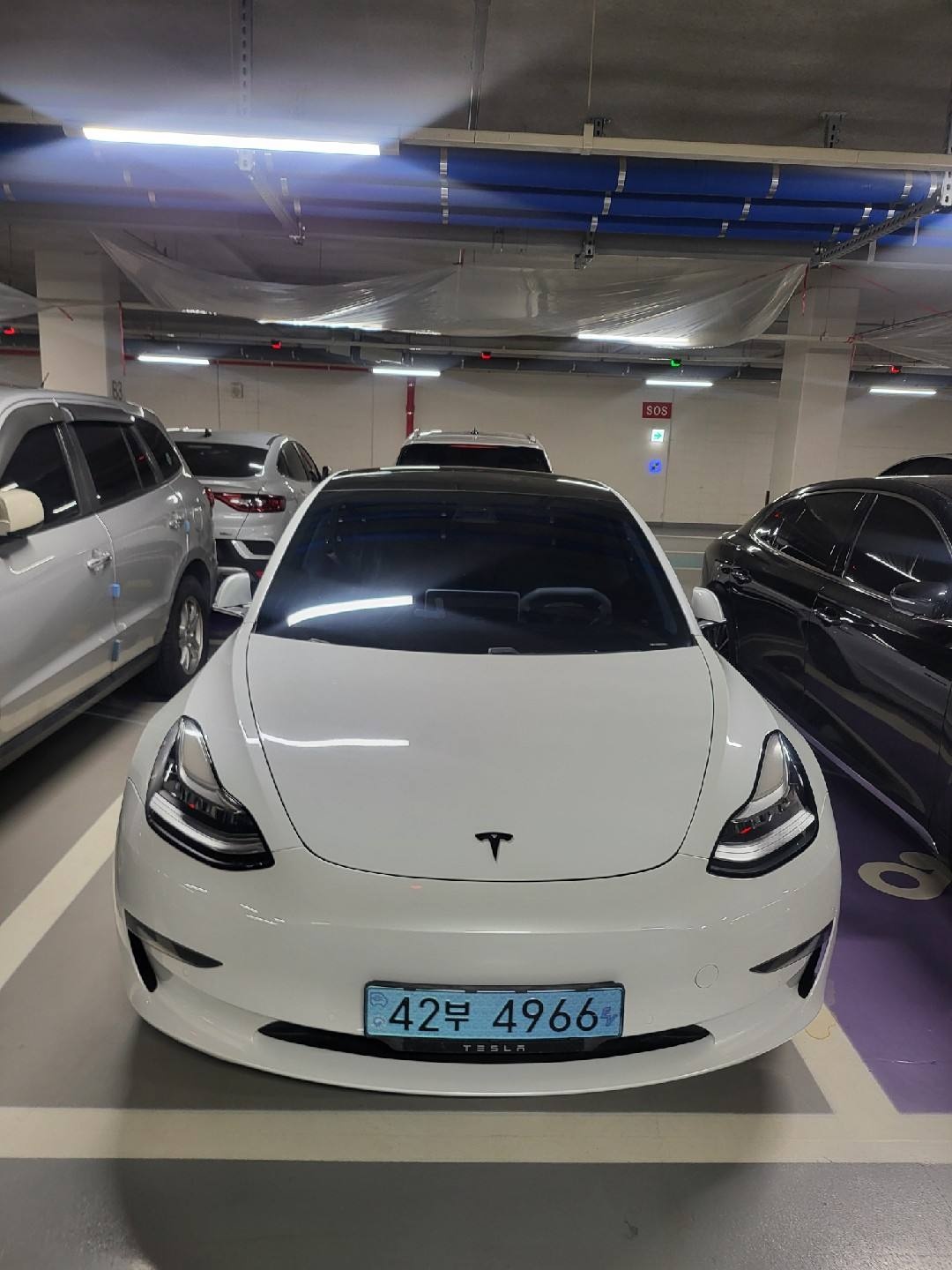 모델 3 BEV(50kWh) RWD 스탠다드 레인지 플러스 매물 썸네일
