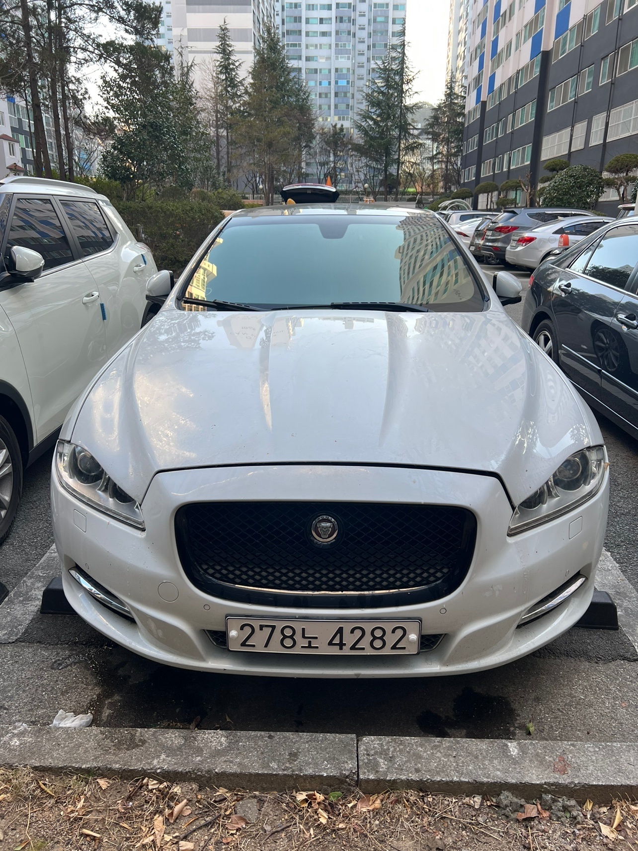 XJ X351 3.0 d 프리미엄 럭셔리 SWB 매물 썸네일