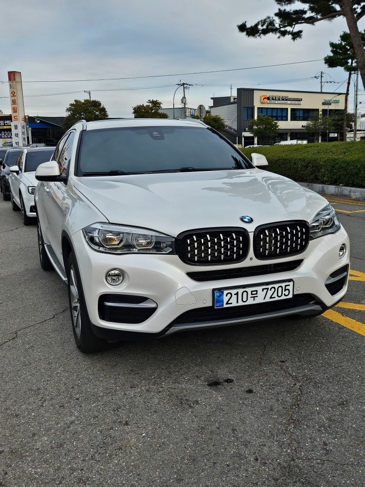 X6 F16 30d xDrive (258마력) 매물 썸네일