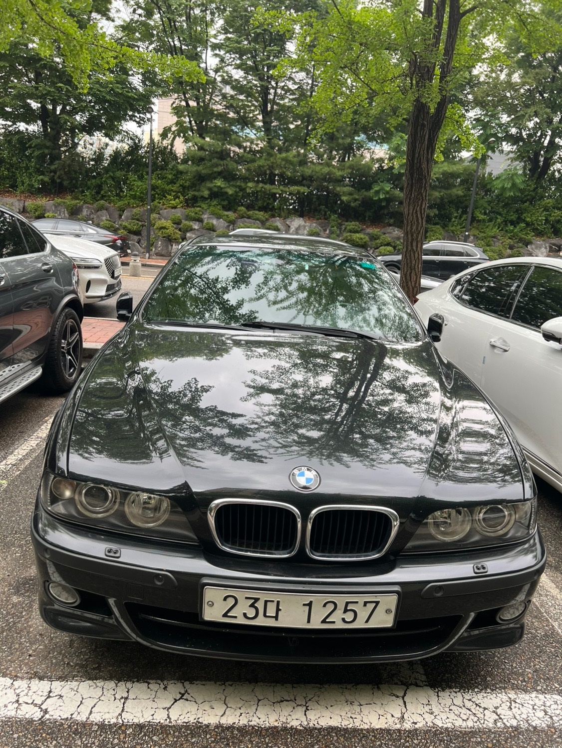 5시리즈 E39 530i (231마력) 매물 썸네일