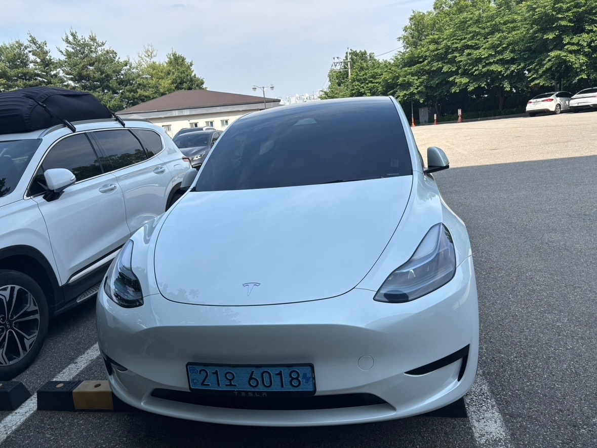 모델 Y BEV(75 kWh) RWD 스탠다드 레인지 매물 썸네일