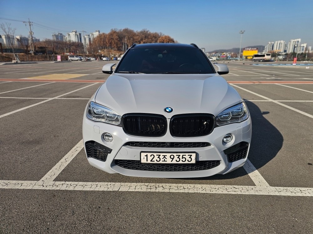 X6 M F86 4.4 xDrive (575마력) 매물 썸네일