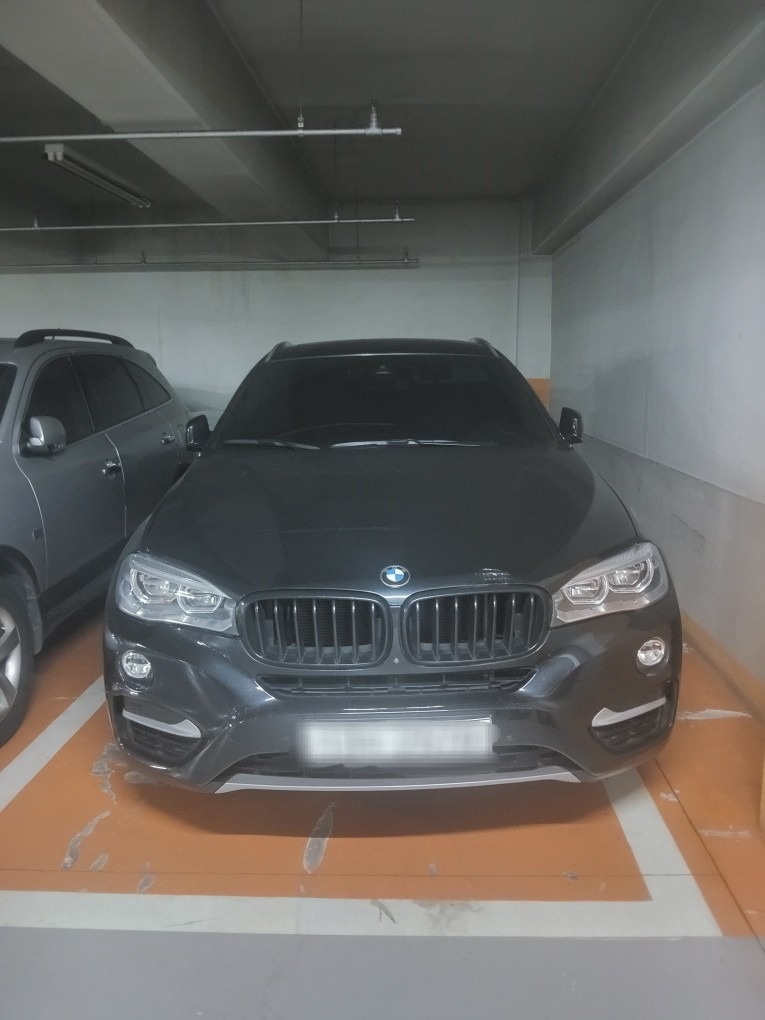 X6 F16 30d xDrive (258마력) 매물 썸네일