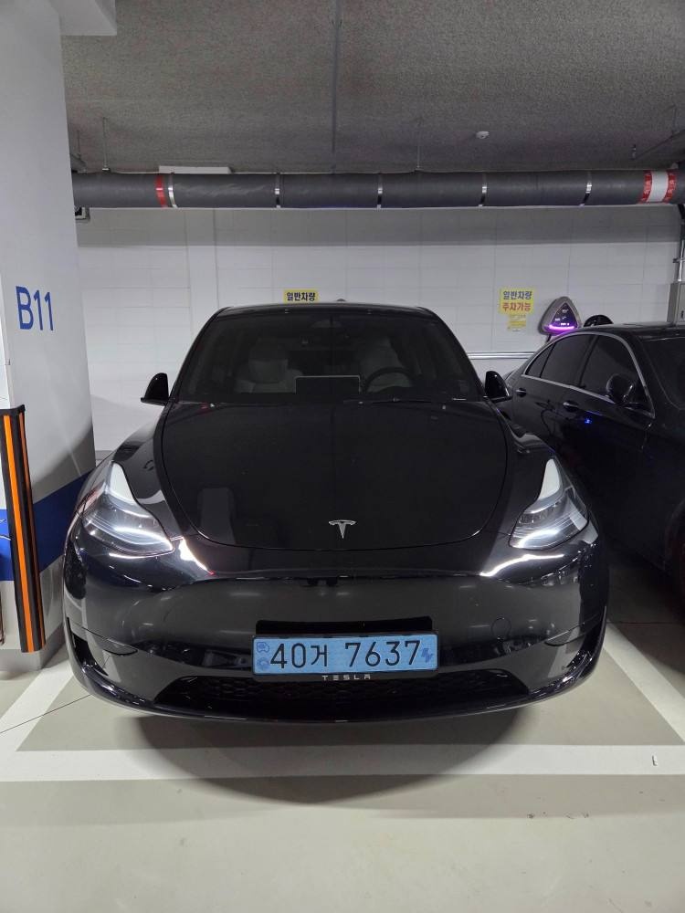 모델 Y BEV(75 kWh) RWD 스탠다드 레인지 매물 썸네일
