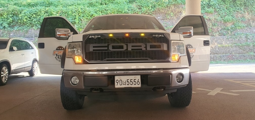 F150 XII 더블캡 5.0 (V8 4WD) (360마력) 매물 썸네일