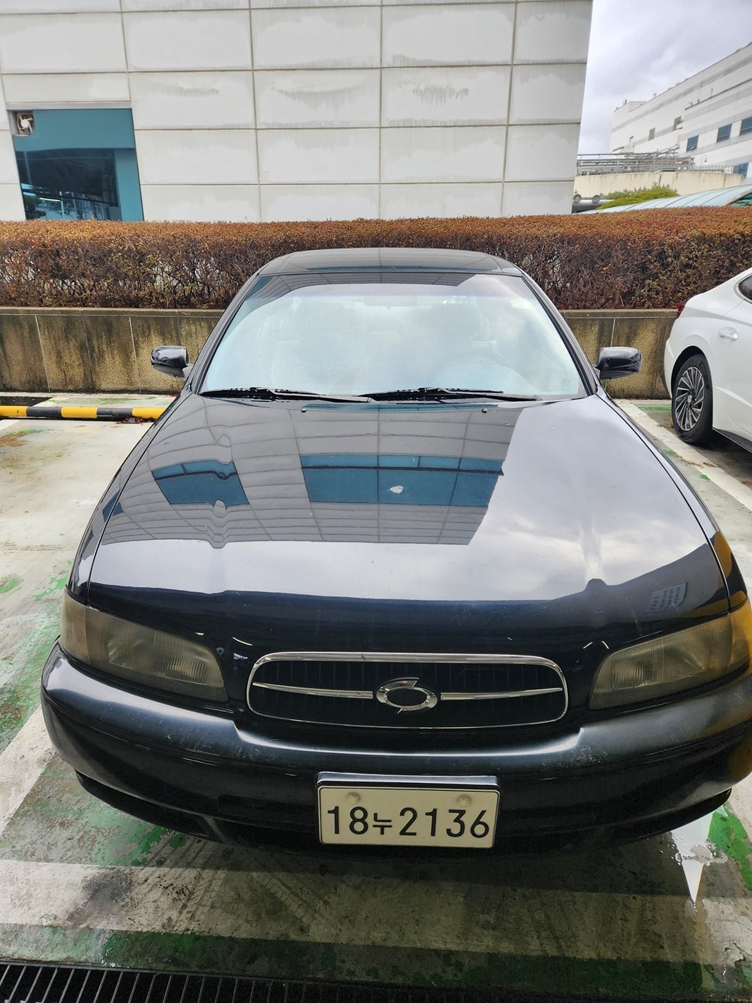 SM5 KPQ SM5 LPG SE 매물 썸네일