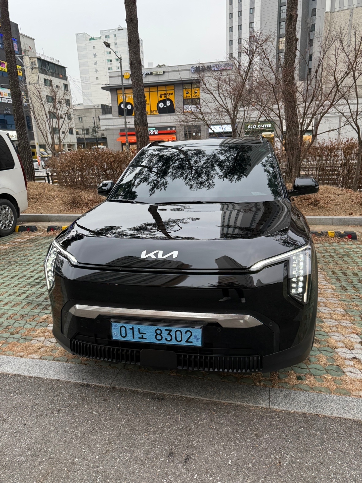 EV3 SV1 BEV(롱레인지/81.4kWh) FWD 어스(501km) 매물 썸네일