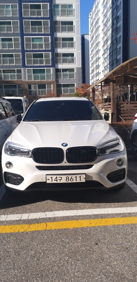 X6 F16 30d xDrive (258마력) 매물 썸네일