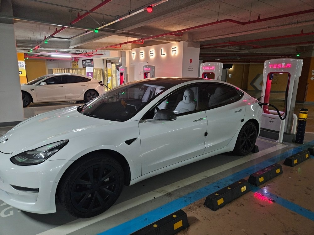 모델 3 BEV(50kWh) RWD 스탠다드 레인지 플러스 매물 썸네일