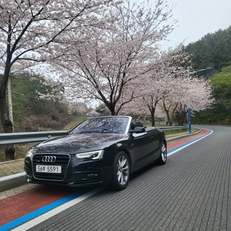 A5 8T 2.0 TFSI Cabriolet 콰트로 (220마력) 매물 썸네일