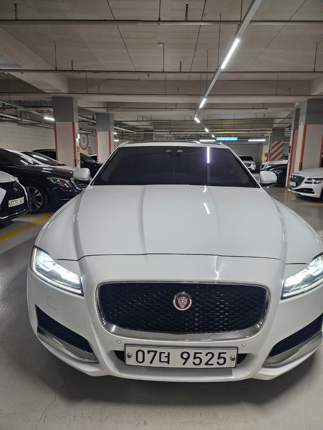 XF X260 20 d AWD 매물 썸네일