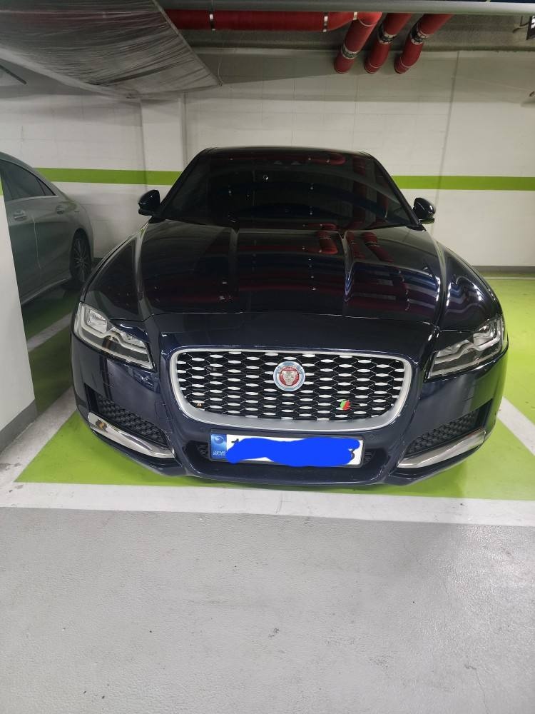 XF X260 20 t 매물 썸네일