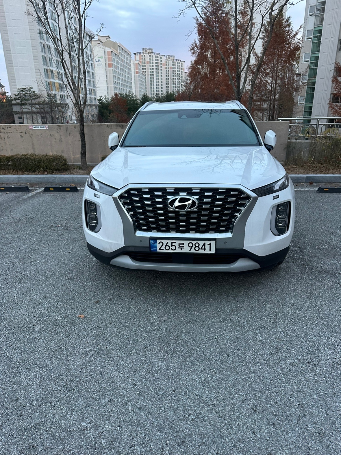 팰리세이드 LX2 7인승(가솔린 3.8) 4WD 프레스티지 매물 썸네일