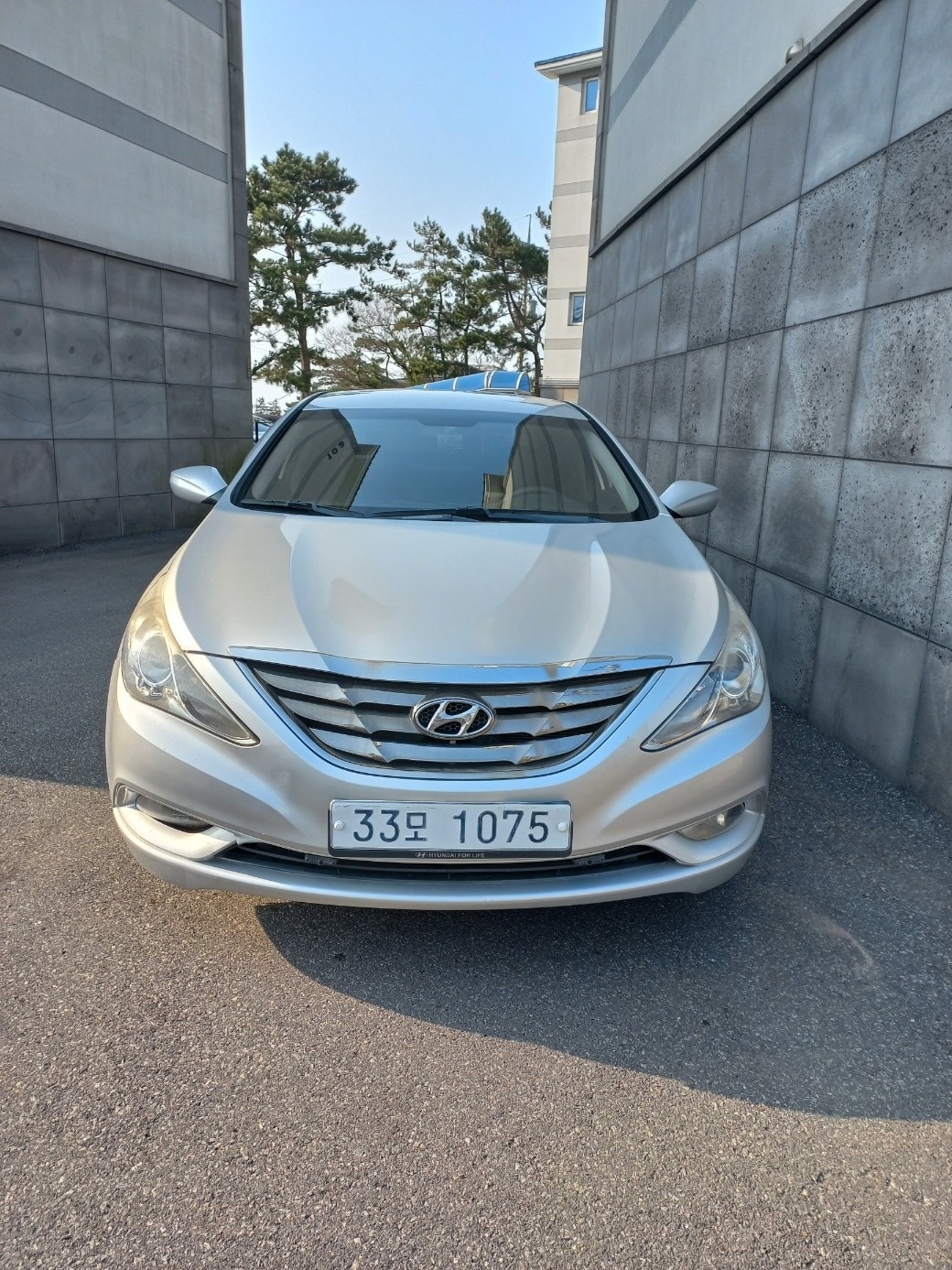 YF 쏘나타 LPi Y20 택시 DTX 매물 썸네일