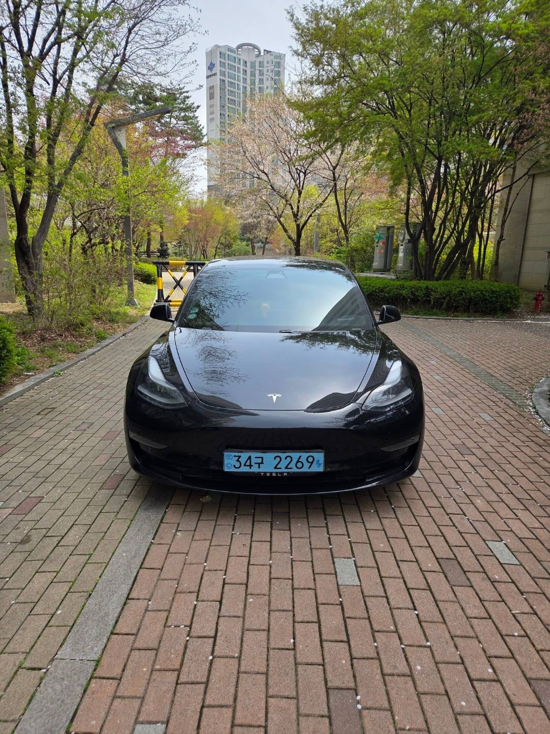 모델 3 BEV(75kWh) AWD 롱 레인지 매물 썸네일