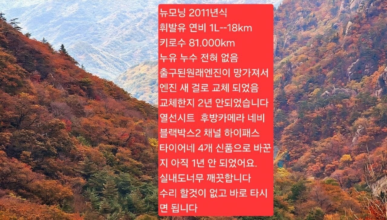 뉴 모닝 SA 5도어 1.0 LX 고급형 블랙프리미엄 매물 썸네일