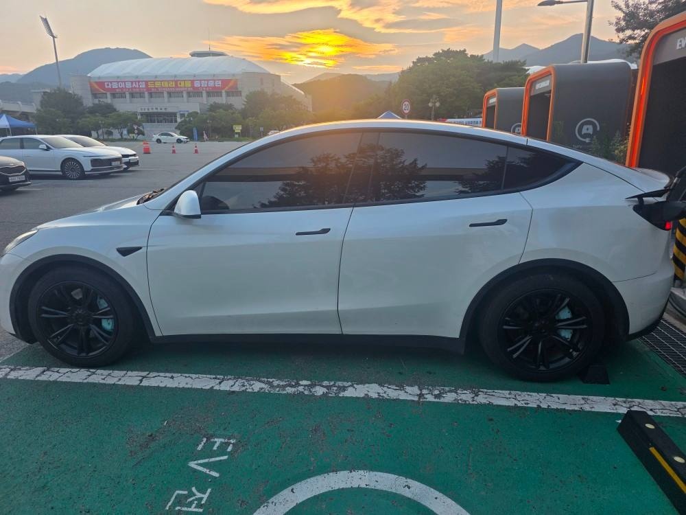 모델 Y BEV(75 kWh) RWD 스탠다드 레인지 매물 썸네일