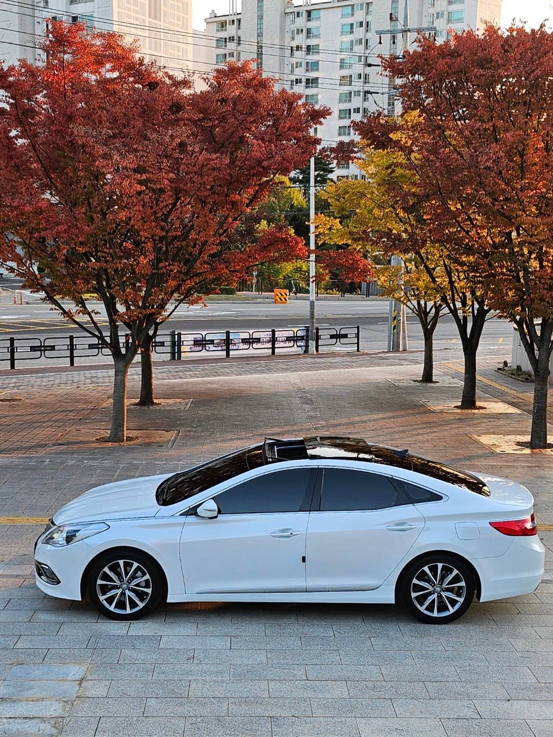 그랜저 HG HG220 디젤 FWD 프리미엄 컬렉션 매물 썸네일