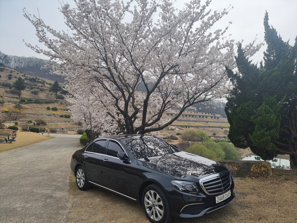 E 클래스 W213 E300 4Matic 전기형 (211마력)익스클루시브 매물 썸네일