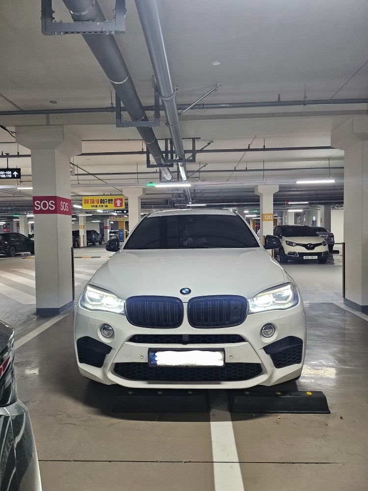 X6 F16 30d xDrive (258마력) 매물 썸네일