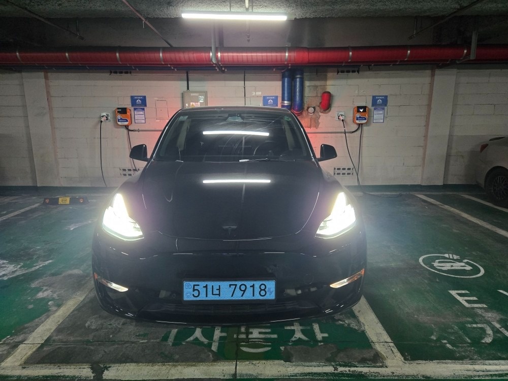 모델 Y BEV(75kWh) AWD 롱 레인지 매물 썸네일