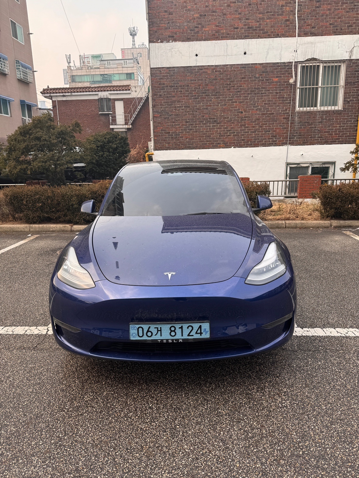 모델 Y BEV(75kWh) RWD 스탠다드 레인지 매물 썸네일