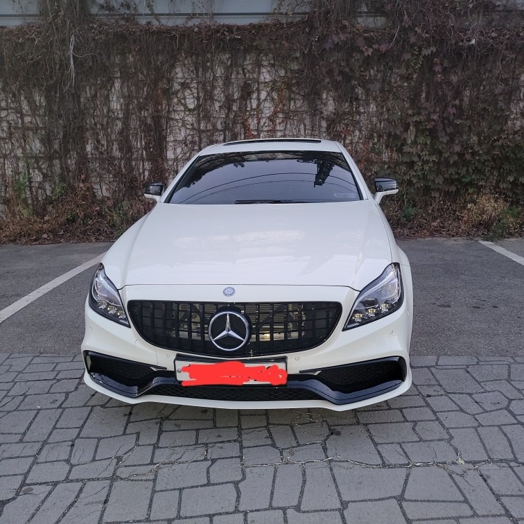 CLS 클래스 W218 CLS250 d 4Matic 후기형 (204마력) 매물 썸네일