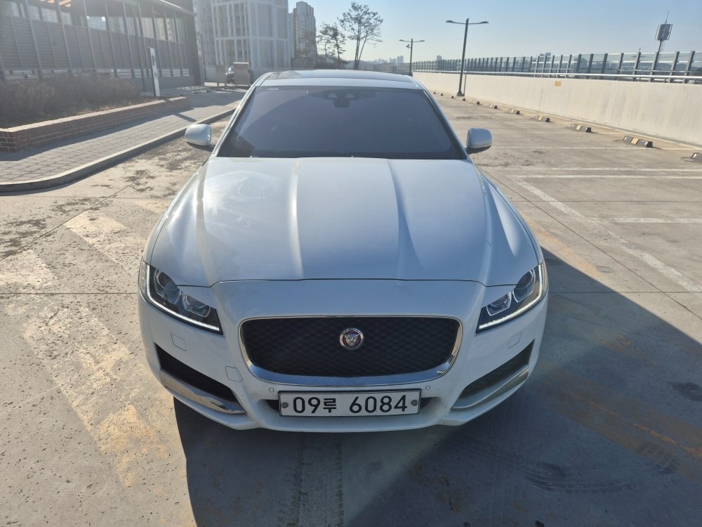 XF X260 20 d AWD 매물 썸네일