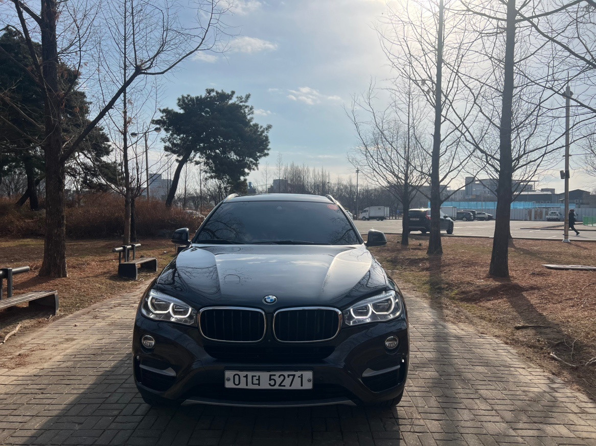 X6 F16 30d xDrive (258마력) 매물 썸네일